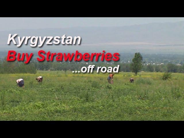 # 13 Zijderoute -  Kyrgyzstan, buy Strawberries in Chuy Valley