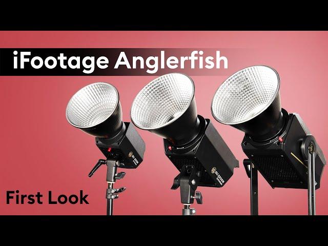 First Look - iFootage Anglerfish, The New LED Lights Line