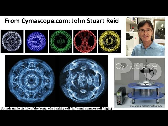 Dr Robert J. Gilbert on Energy Healing & Psychedelics