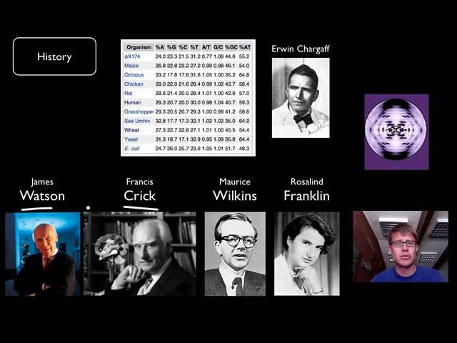 DNA and RNA - Part 1