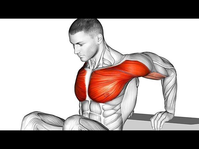 5-Minute Chest Fat Burning Workout – Get Rid of Man Boobs