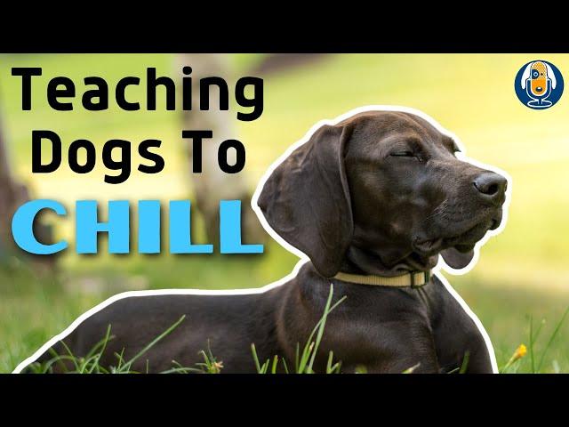 Get Your Dog To Calm Down With This Common Sense Protocol For Relaxation #191 #podcast