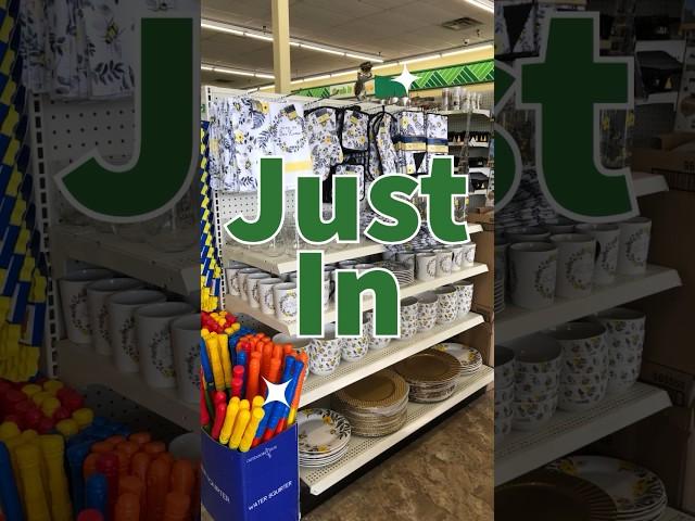 Dollar Tree NEW Finds This Week #shorts
