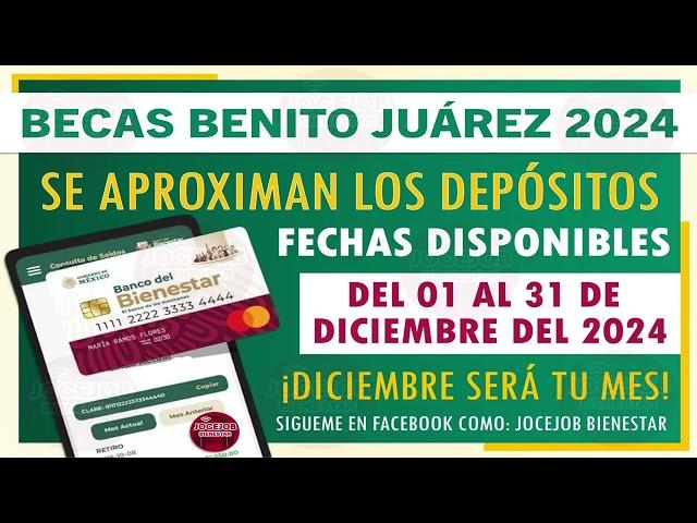  Beca Benito Juárez 2024: Fechas de pago oficiales y lo que necesitas saber 