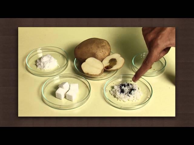 Test for starch | Food chemistry | Chemistry
