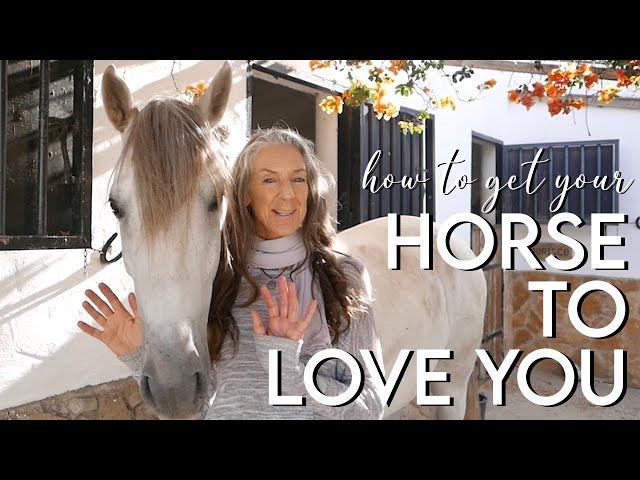 How to get your horse to LOVE YOU