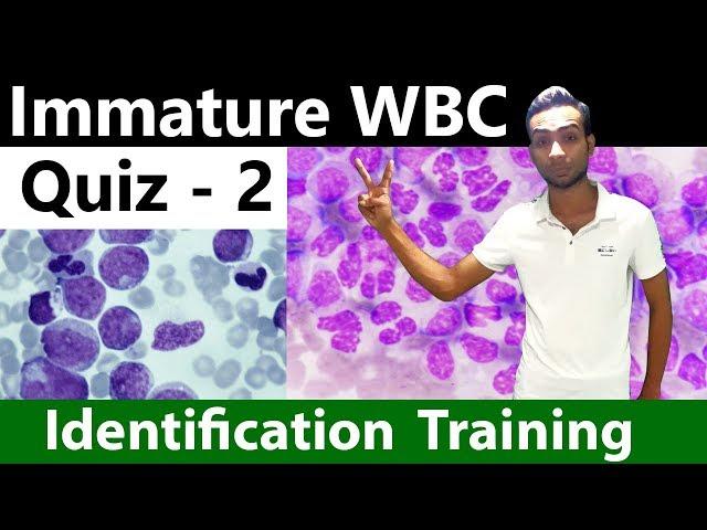 Immature WBC identification Training Quiz -  2/2