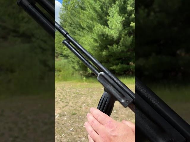 Would you use a .410 for home defense?