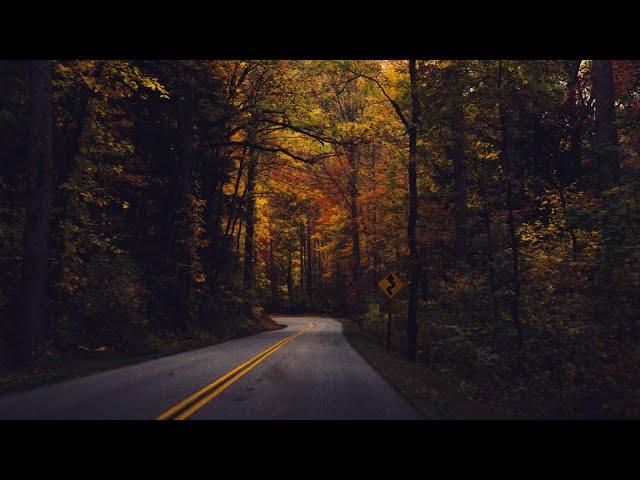 Relaxing Sleep Music for Stress Relief: Rural Road Rain • Healing Sleep Music 10 Hours