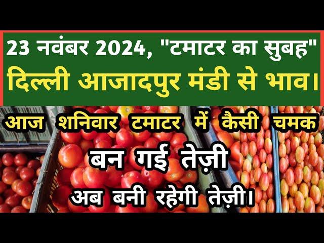 23 नवंबर 2024 टमाटर का भाव Azadpur Delhi Mandi Today #delhifruitmarket #tomato #tomatoes #dmttv