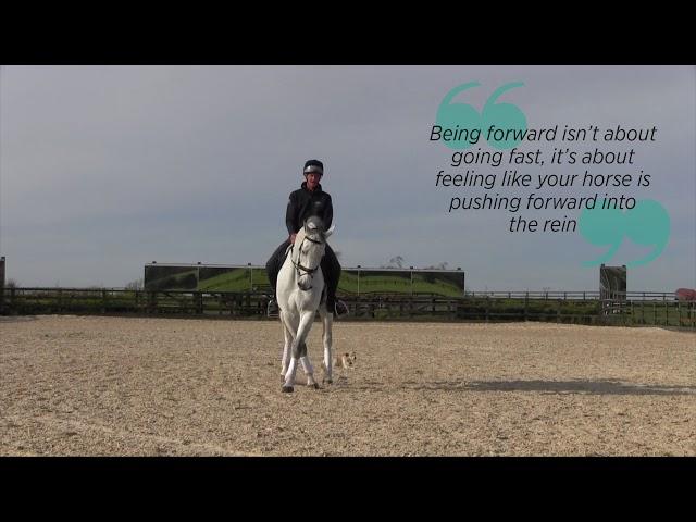 Improve your flatwork with Mark Todd | Horse&Rider and Land Rover