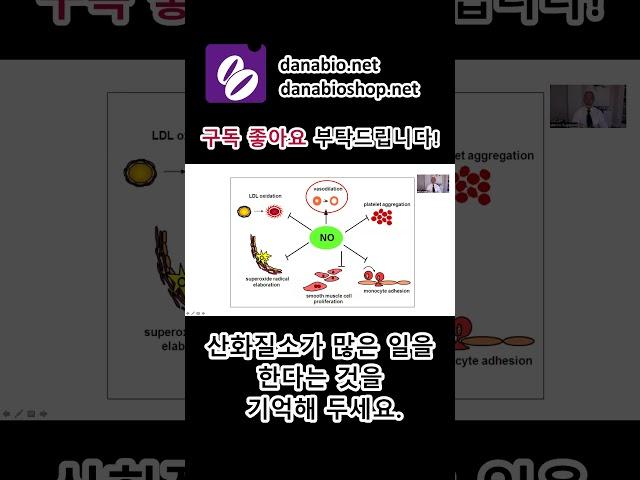 1VAR S009 - 산화질소