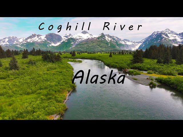 Catch Salmon and Explore Alaska's Coghill River in Prince William Sound