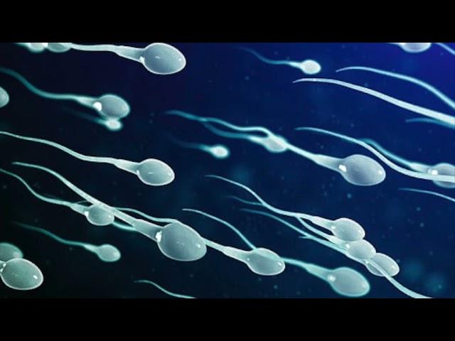 || SILENT HYPERSPERMIA || SUPERNATURAL FERTILITY! MORPHIC FIELD