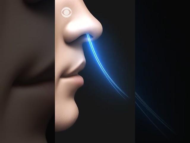 Study suggests people's individual breathing patterns are as unique as their fingerprints #shorts