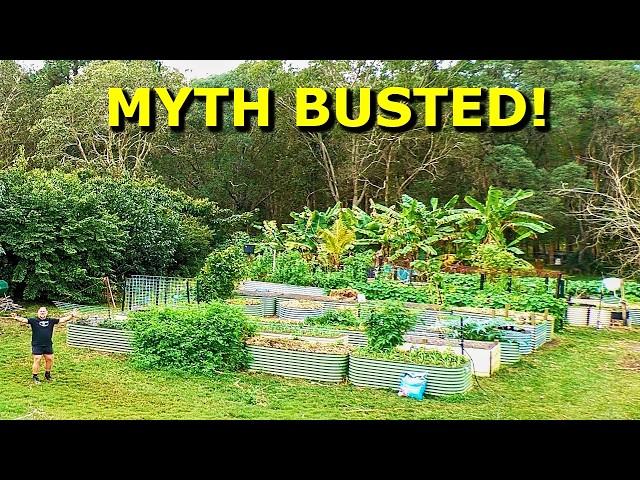 How to Grow a THRIVING Food Garden Surrounded by BIG TREES