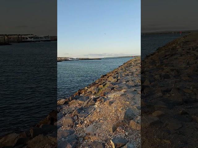 Redland Bay Marina Sunset #shorts #summer #beach #brisbane #travel