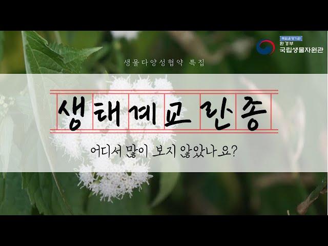 특집편 2 – 생태계 교란종, 어디서 많이 보지 않았나요?