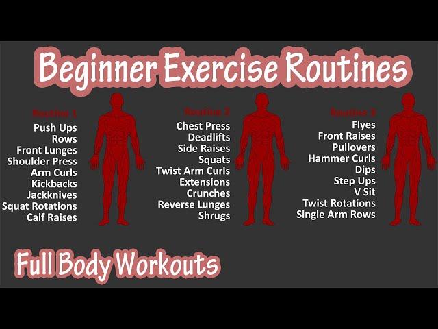 Beginner Full Body Exercise Routines Workouts - Basic Exercises Workout For Beginners At Home