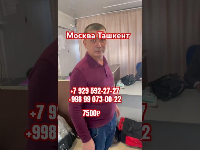 #автобус #москва #ташкент #2023  Москва Ташкент автобус, Москва Ташкент автобус прямой рейс #ростов