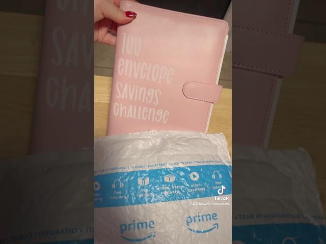 100 Envelope Savings Challenge 