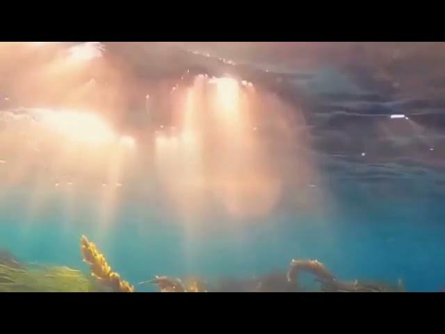 Relaxing sunrays under seawater | Peaceful underwater sounds for deep sleep | relaxing nature sounds