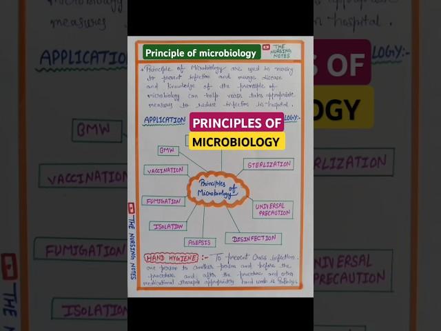 Principles of microbiology | importance of microbiology |microbiology principles #shortvideo #shorts