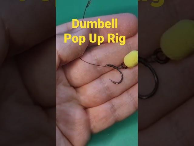 Simple Dumbell Pop Up Rig