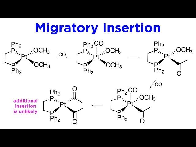 Organometallic Reactions Part 4: Migratory Insertions