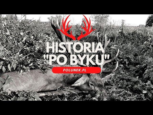 Historia "Po byku" czyli przemyślenia po wypadku