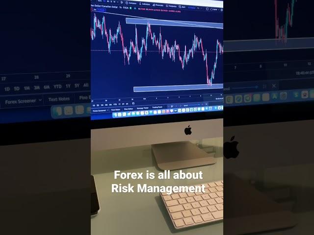 What does it take to be a Forex Trader?