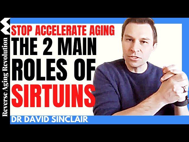 STOP Accelerating Aging – SIRTUINS in Actions (The  Movie) | Dr David Sinclair Interview Clips