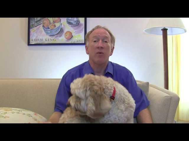 "The Secrets of Surviving Infidelity":  Disinhibition