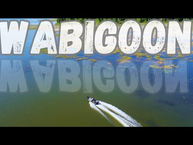 $10,000 Wabigoon Walleye | Ontario Walleye Fishing In June