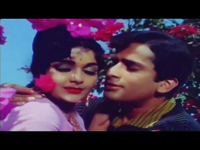 Phool Ban Jaunga Shart Ye Hai Magar-Pyar Kiye Jaa 1966 Full Video Song, Shashi Kapoor, Rajshree