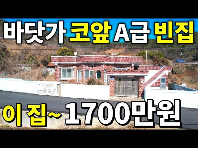 코앞이 바다! 땅 422평 A급 빈집~ 역대급 대폭락! 이 집~ 1,700만원! 땅값 -60% 떨어졌다 놓치지 말아야할 역대급 기회가 찾아왔습니다