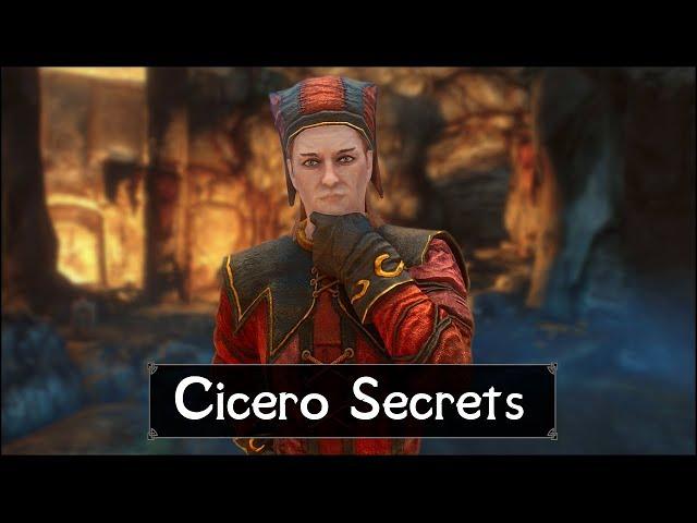 Skyrim: Top 5 Cicero Secrets You (Probably) Never Knew in The Elder Scrolls 5: Skyrim