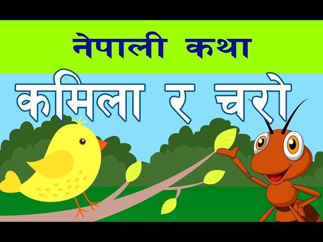 कमिला र चरा नेपाली कथा | Stories for Kids | Nepali Stories for Kids