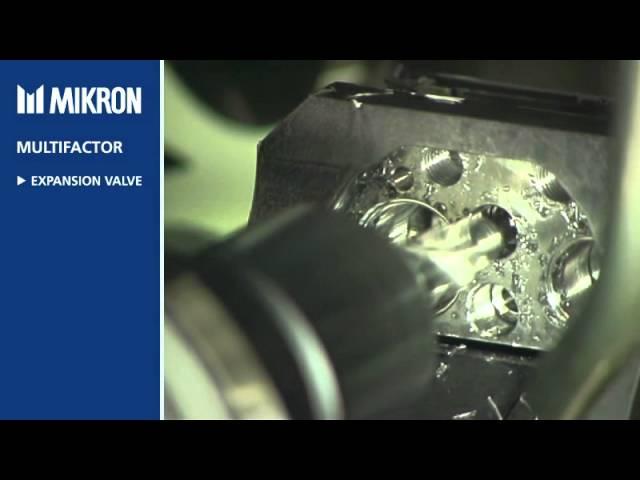 Rotary Transfer Machine MIKRON - Multifactor - Expansion Valve