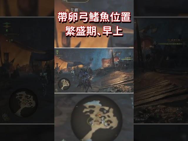 [魔物獵人荒野] 釣魚任務，帶卵弓鰭魚的其中一個刷新點 [MonsterHunterWilds]