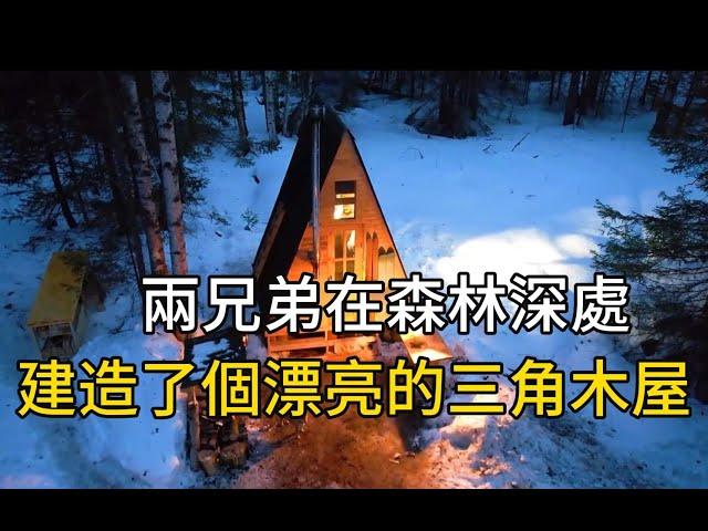 兩兄弟在森林深處建造了個漂亮的三角木屋#紀錄片 #movie #有趣