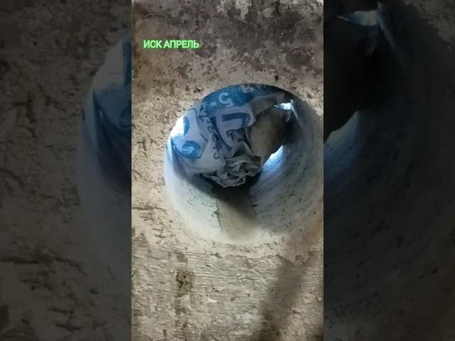 Устройство трассы отопления и водоснабжения.