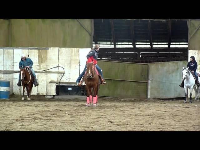 Sherri Thomson Reining Clinic