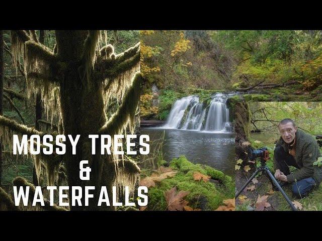 Mossy Trees & Waterfalls- Landscape Photography Vancouver Island #landscapephotography #waterfalls