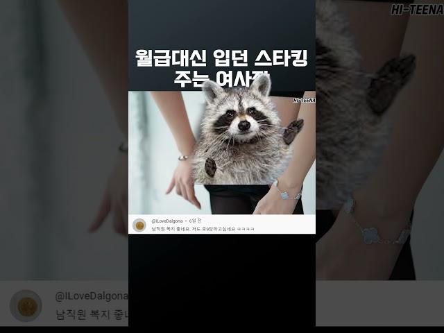 보너스