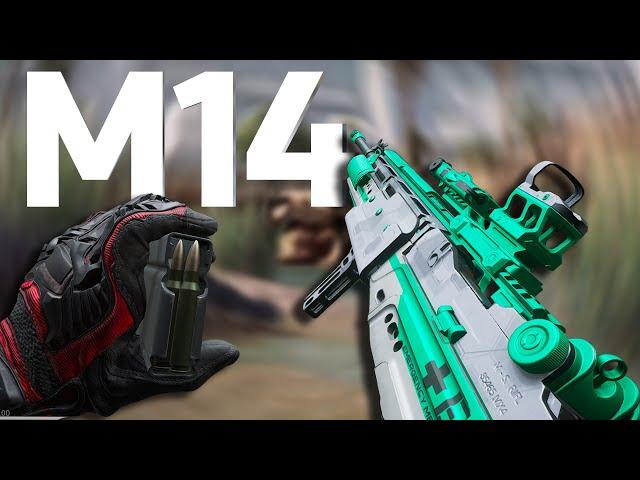 DESTROYING High MMR Ranked Lobbies With M14 - Delta Force