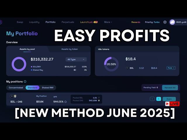 This Meme Coin Strategy Changed My Life in 2025