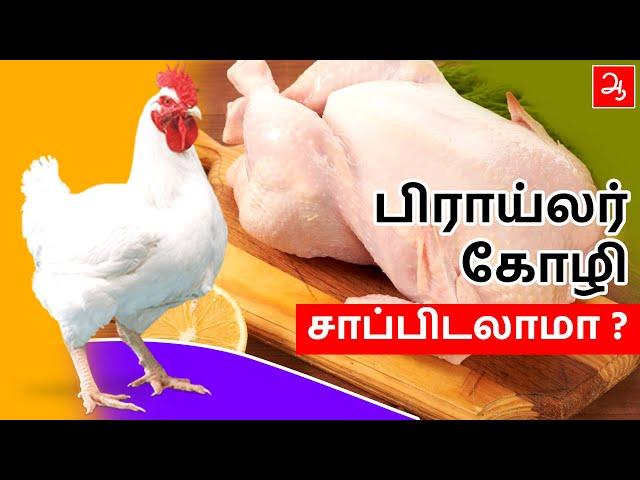 பிராய்லர் கோழி சாப்பிடலாமா | Eating Broiler chicken good or bad | Myths about broiler chicken