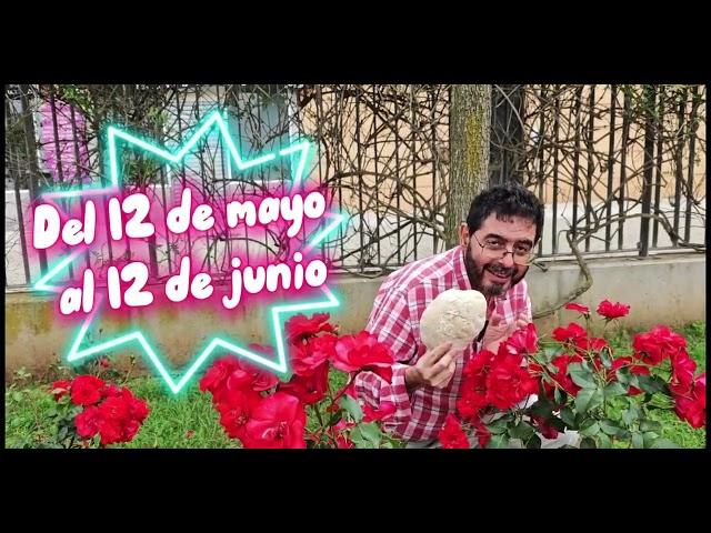 Del 12 de mayo al 12 de junio: Primavera molletera, la ruta de los molletes en Cádiz
