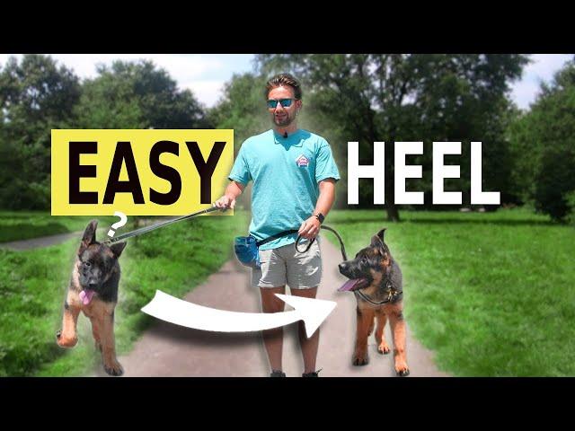 The EASY Way to Teach a "Heel" Command